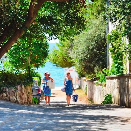 Apartman Rebecca - Cdn02101b-cya Zadar